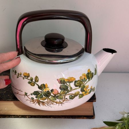 Чайник Botanica ВиллеройБох 4 л эмалированная