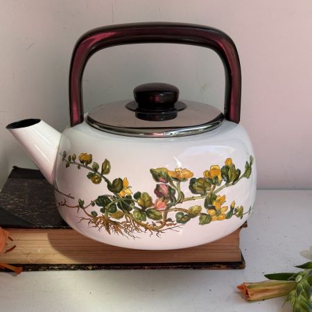 Чайник Botanica ВиллеройБох 4 л эмалированная