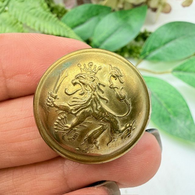 Пуговица мундирная большая Stampwerk Лев 2,5 см латунь Голландия