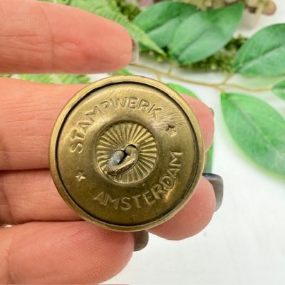 Пуговица мундирная большая Stampwerk Лев 2,5 см латунь Голландия