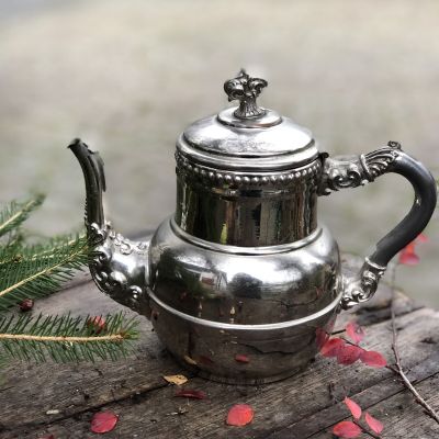 Чайник 1 л сталь