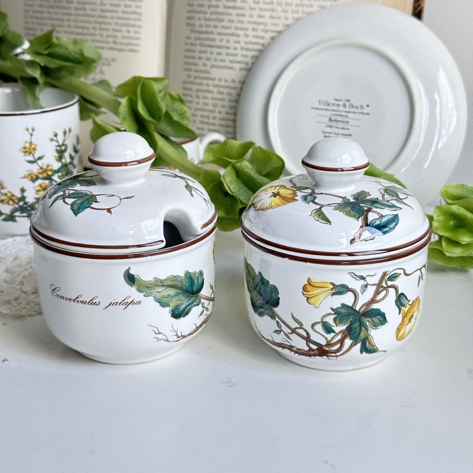 Сахарница с отверстием для ложки Botanica ВиллеройБох 