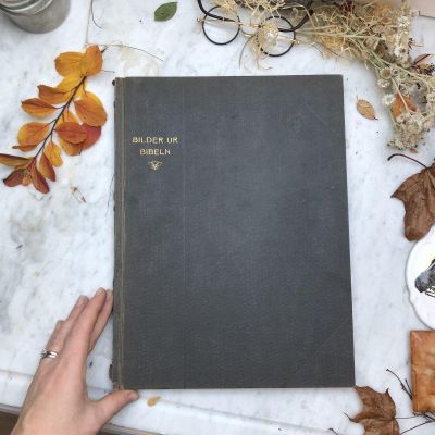 Альбом с иллюстрациями к Библейским сюжетам