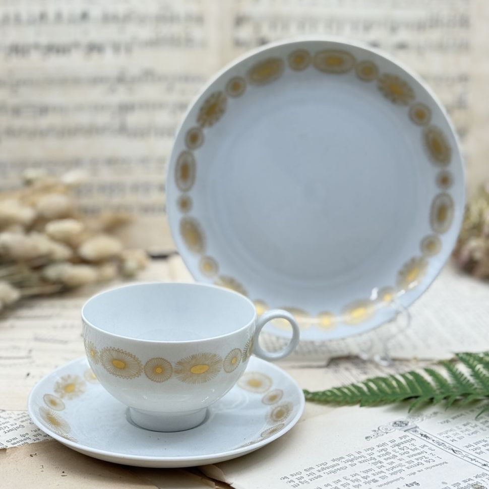 Чайное трио Hutschenreuther Globus 200 мл Бавария Германия  