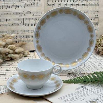 Чайное трио Hutschenreuther Globus 200 мл Бавария Германия  