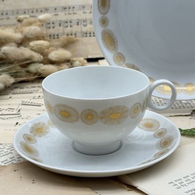 Чайное трио Hutschenreuther Globus 200 мл Бавария Германия  