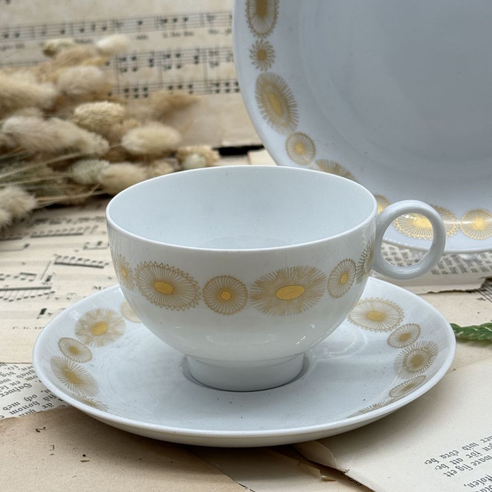 Чайное трио Hutschenreuther Globus 200 мл Бавария Германия  