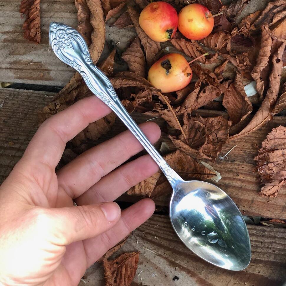 Ложка столовая 19,5 см сталь