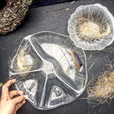 Блюдо менажница Kosta Boda Ботаника Швеция 