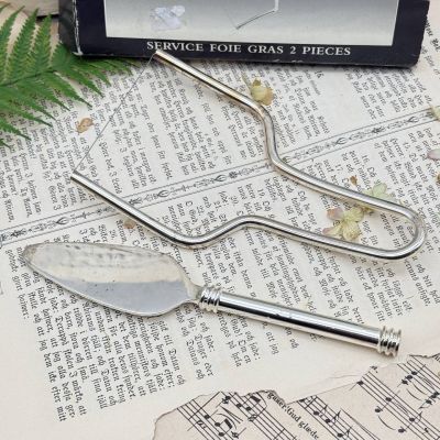 Набор для фуа-гра 2 предмета Vire Volte серебрение Франция