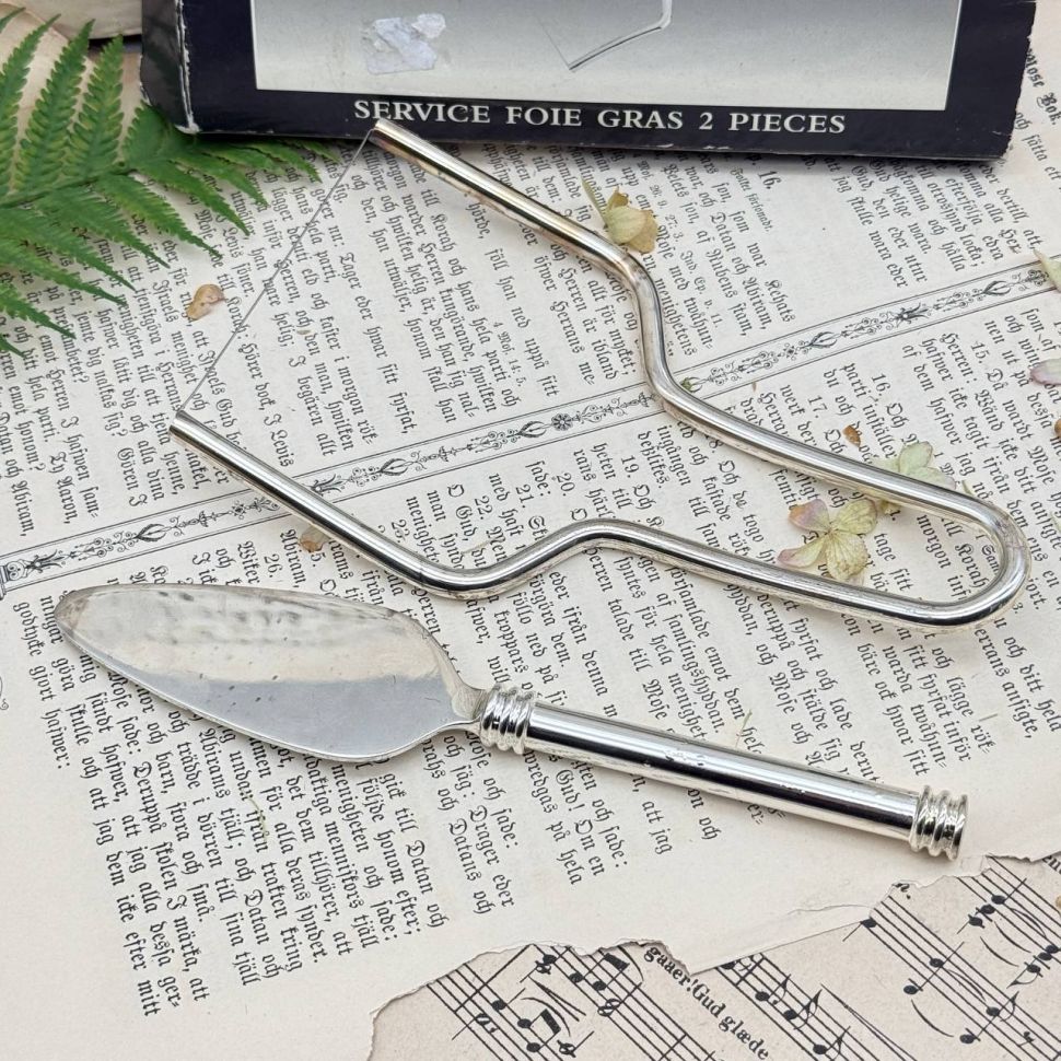 Набор для фуа-гра 2 предмета Vire Volte серебрение Франция