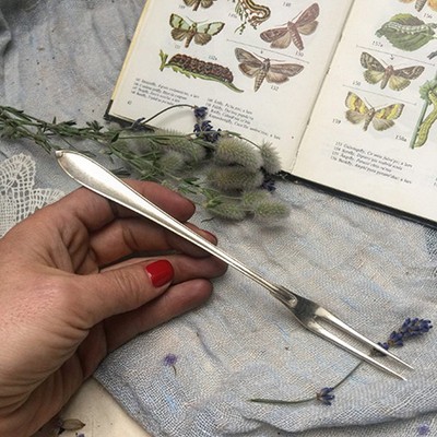 Вила на длинной ручке Лепесток