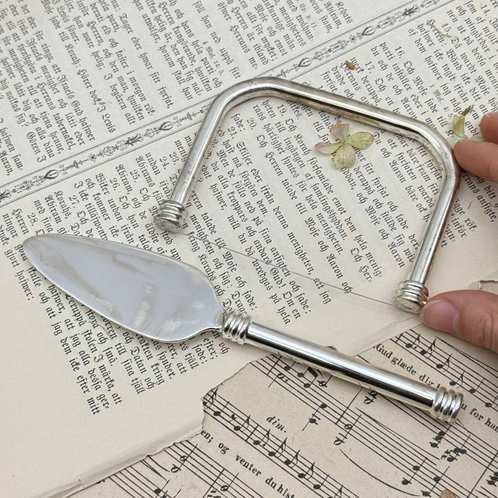 Набор для фуа-гра 2 предмета Aulica серебрение Франция 