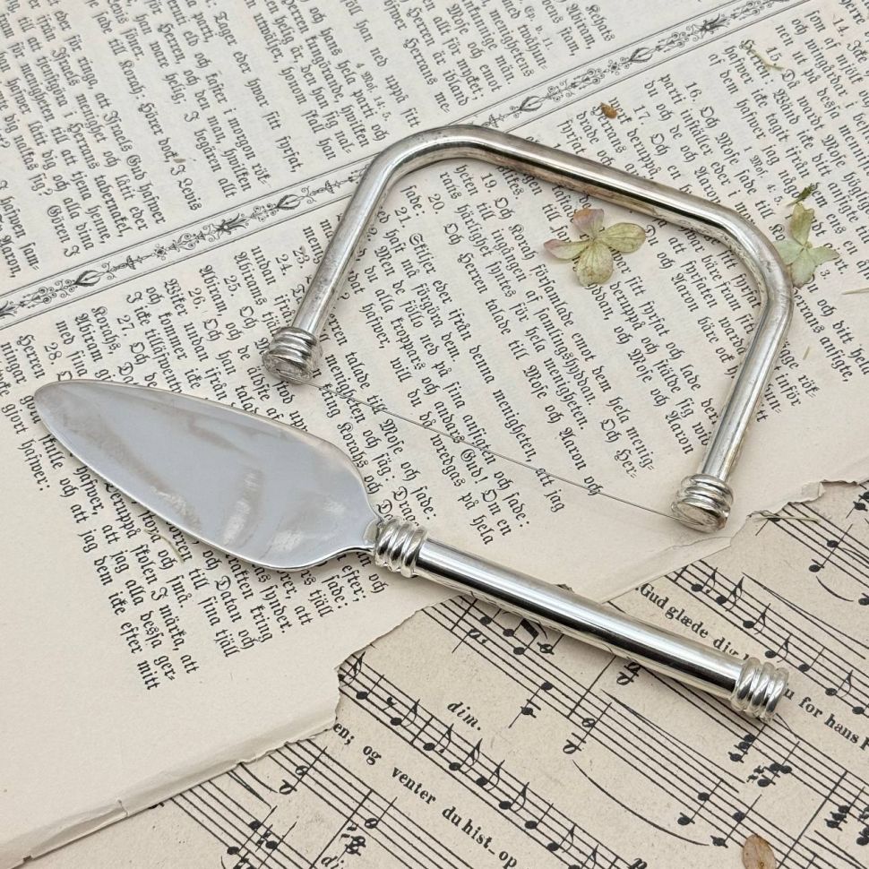 Набор для фуа-гра 2 предмета Aulica серебрение Франция 