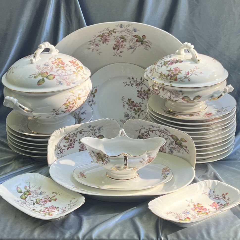 Тарелка Limoges Дикая роза 23 см Франция конец 19 в.