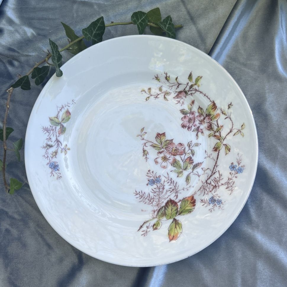 Тарелка Limoges Дикая роза 23 см Франция конец 19 в.