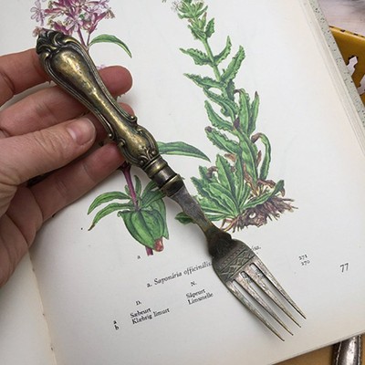 Вилка столовая Ольга 19 см