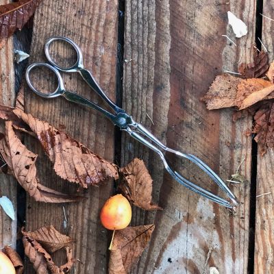 Щипцы для пирожного 19 см хромирование