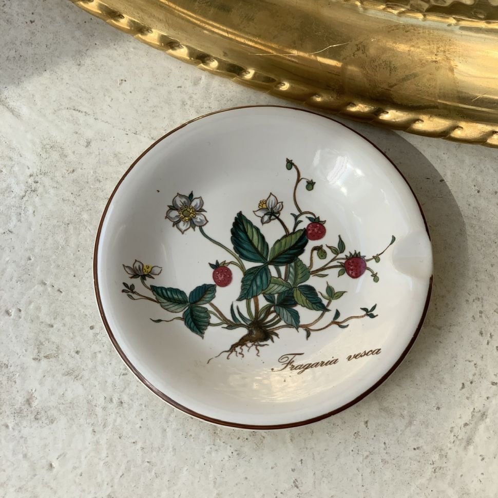 Пепельница Botanica ВиллеройБох 11 см Германия