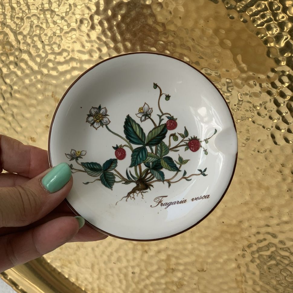 Пепельница Botanica ВиллеройБох 11 см Германия