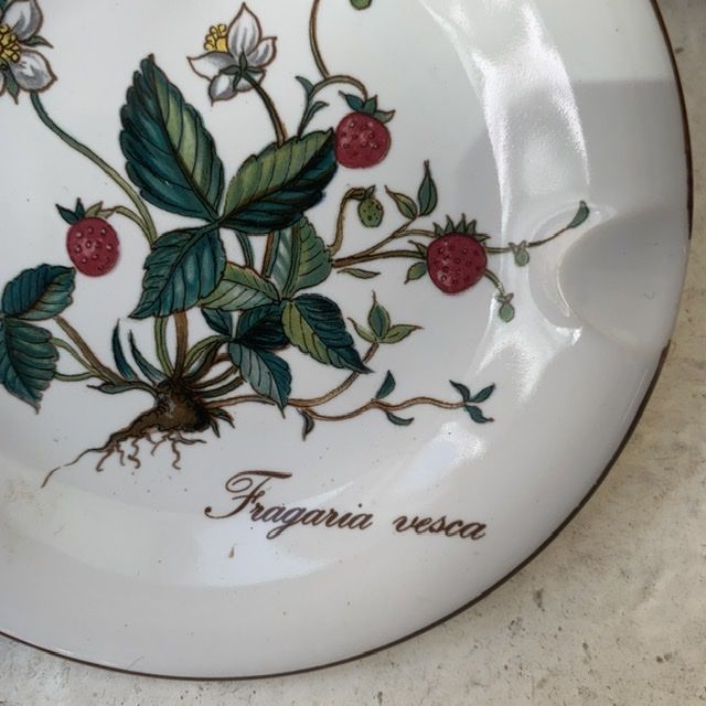 Пепельница Botanica ВиллеройБох 11 см Германия