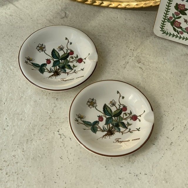 Пепельница Botanica ВиллеройБох 11 см Германия