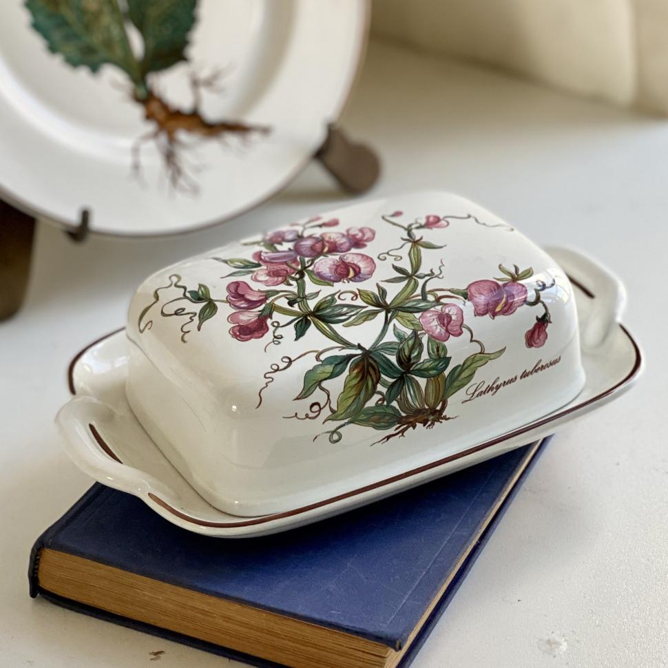 Масленка Botanica Lathyrus tuberosus ВиллеройБох