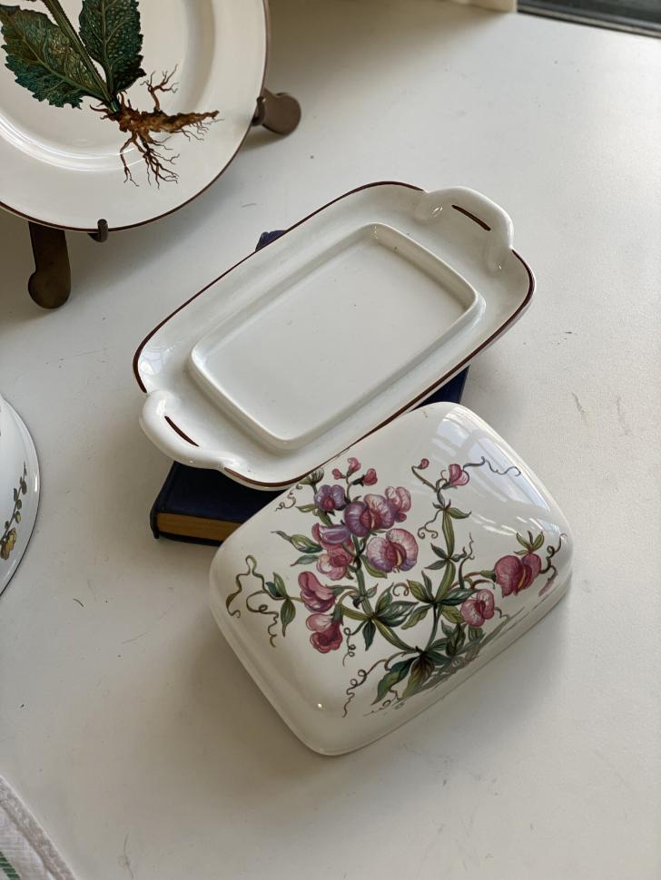 Масленка Botanica Lathyrus tuberosus ВиллеройБох