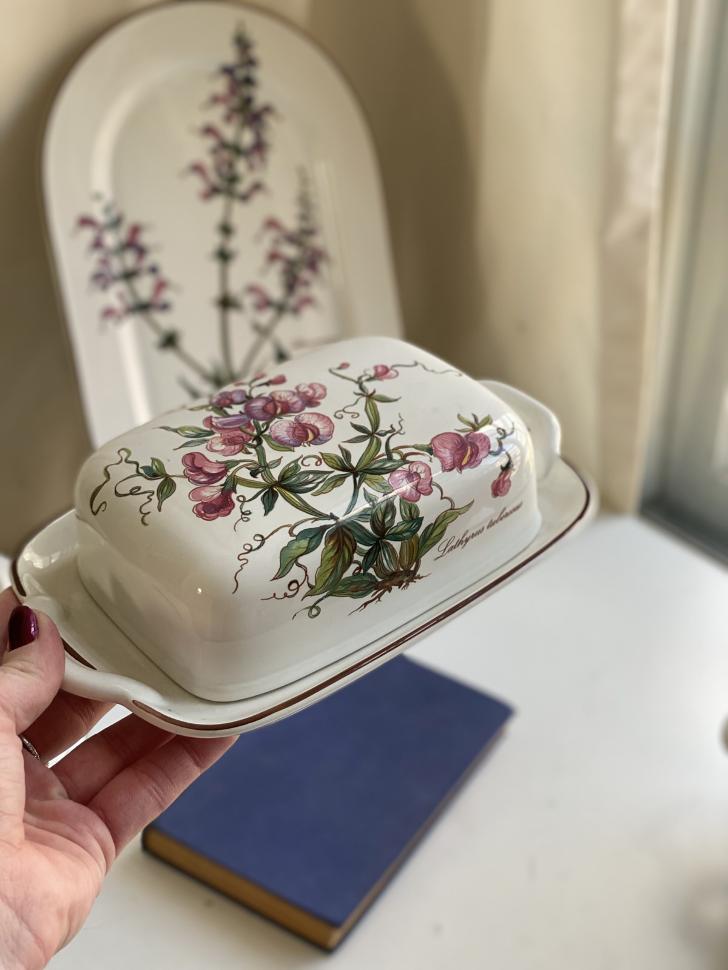 Масленка Botanica Lathyrus tuberosus ВиллеройБох