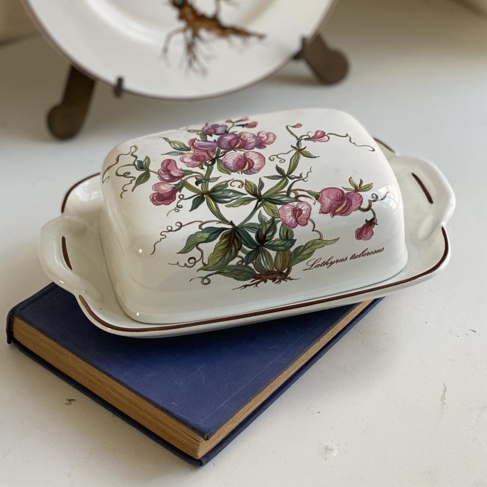 Масленка Botanica Lathyrus tuberosus ВиллеройБох