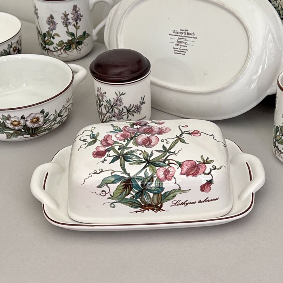 Масленка Botanica Lathyrus tuberosus ВиллеройБох