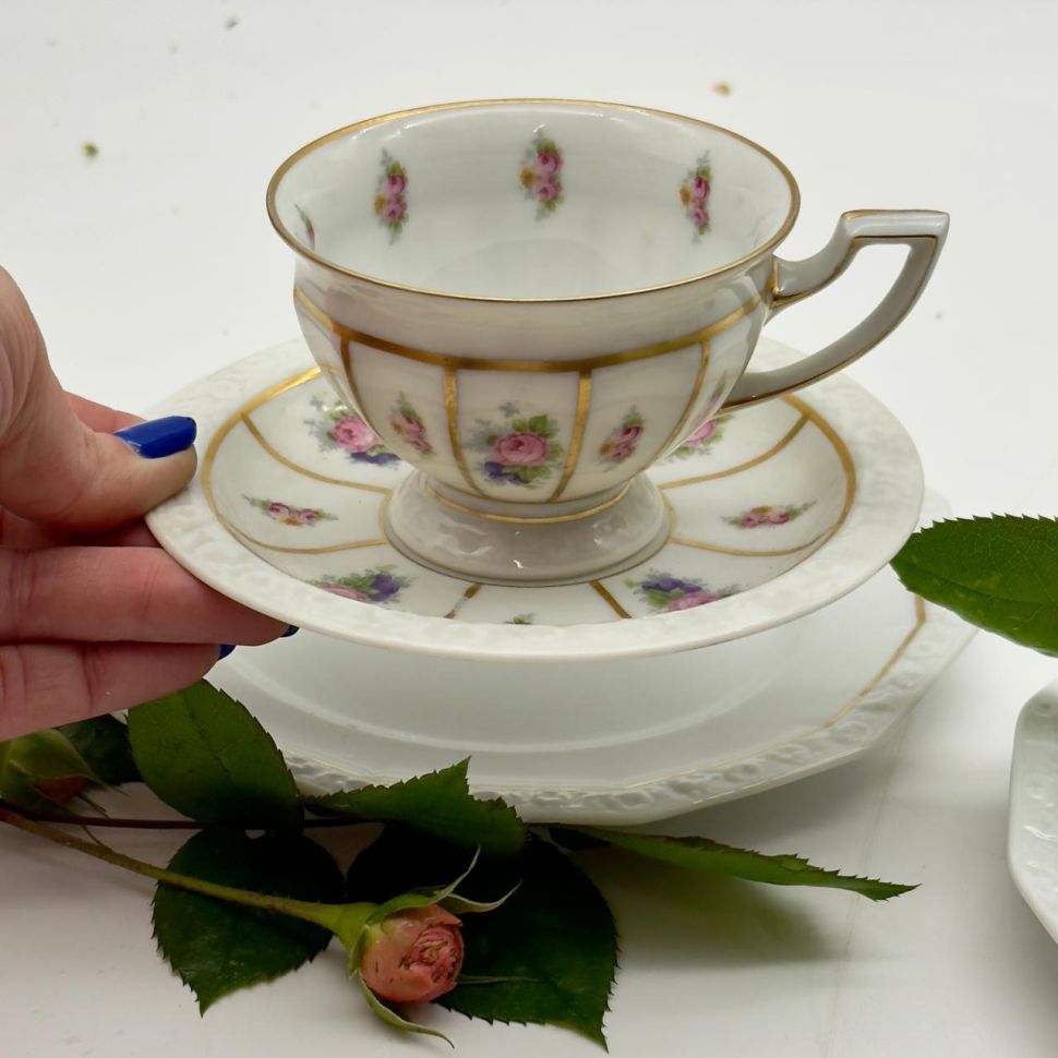 Чайная пара Rosenthal Classic Rose Poasia 180 мл Германия