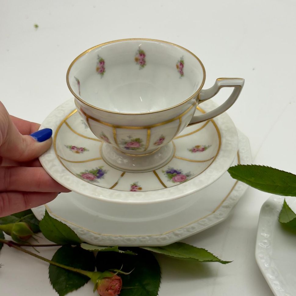 Чайная пара Rosenthal Classic Rose Poasia 180 мл Германия