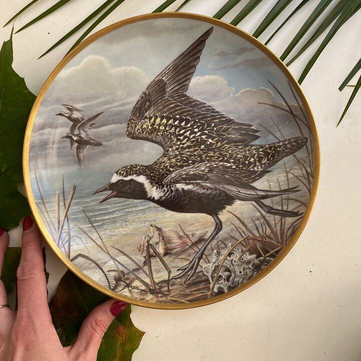Тарелка 23 см Franklin Porcelain by Limoges Water Birds American Golden Plover фарфор  