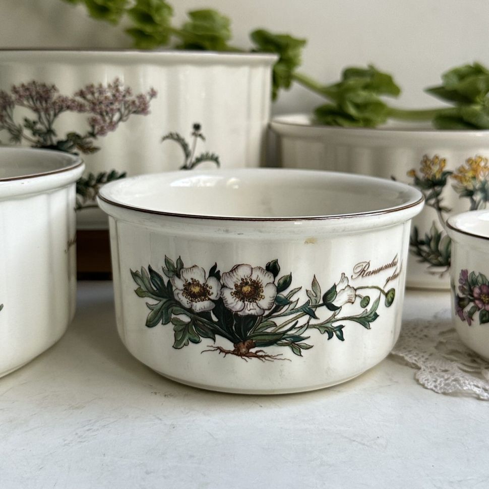 Форма для запекания Botanica ВиллеройБох малая 13 см