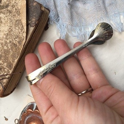 Щипцы для сахара или лимона Ракушки