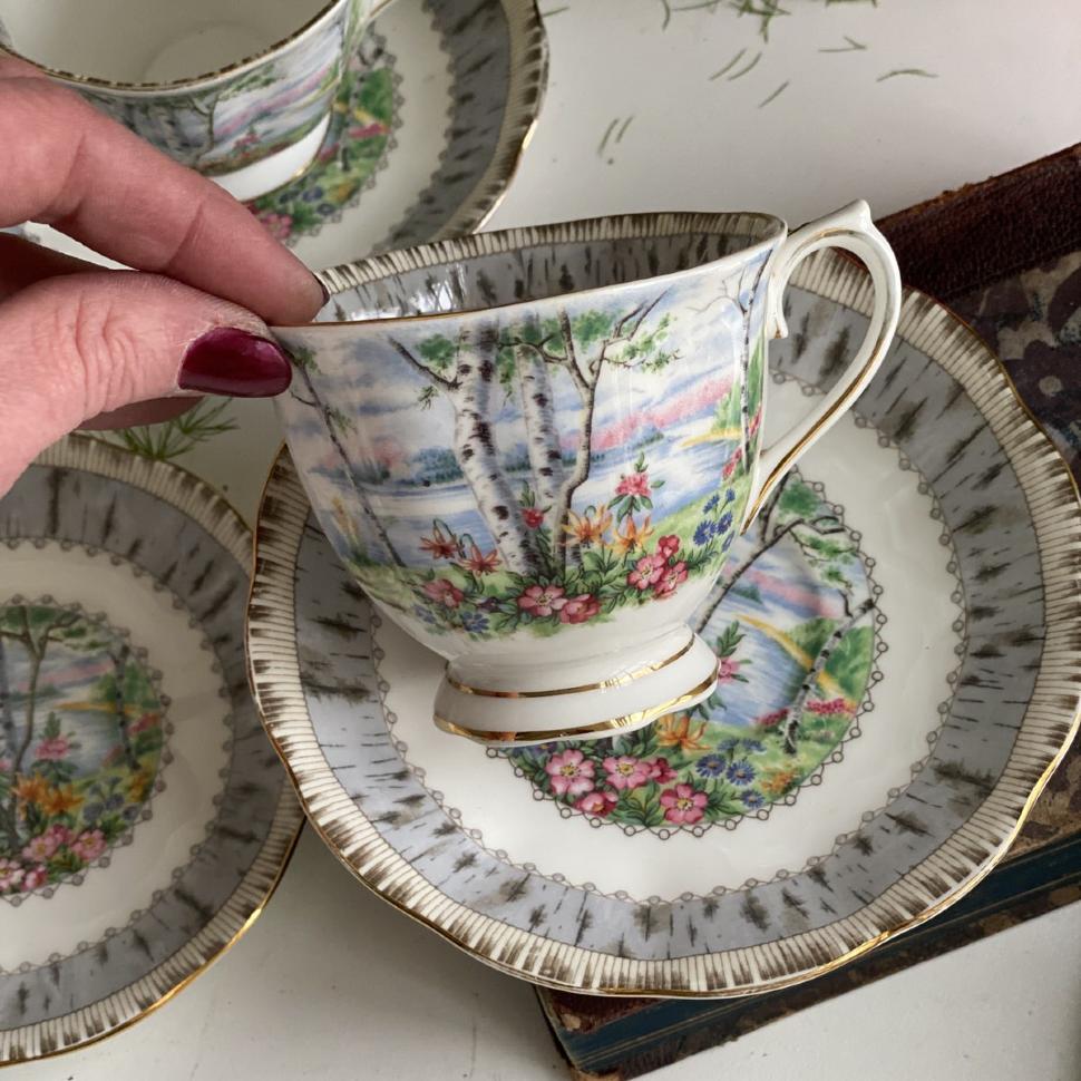 Чайная пара Royal Albert Silver Birch 200 мл Англия