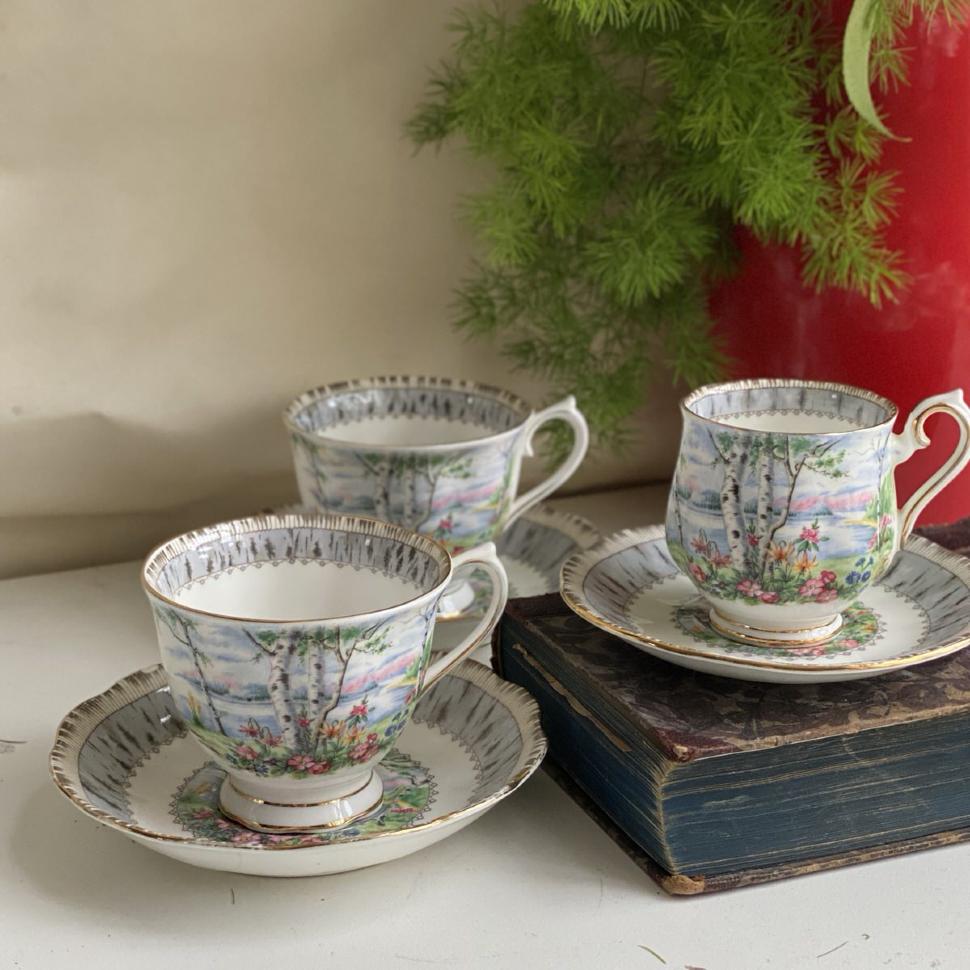 Чайная пара Royal Albert Silver Birch 200 мл Англия