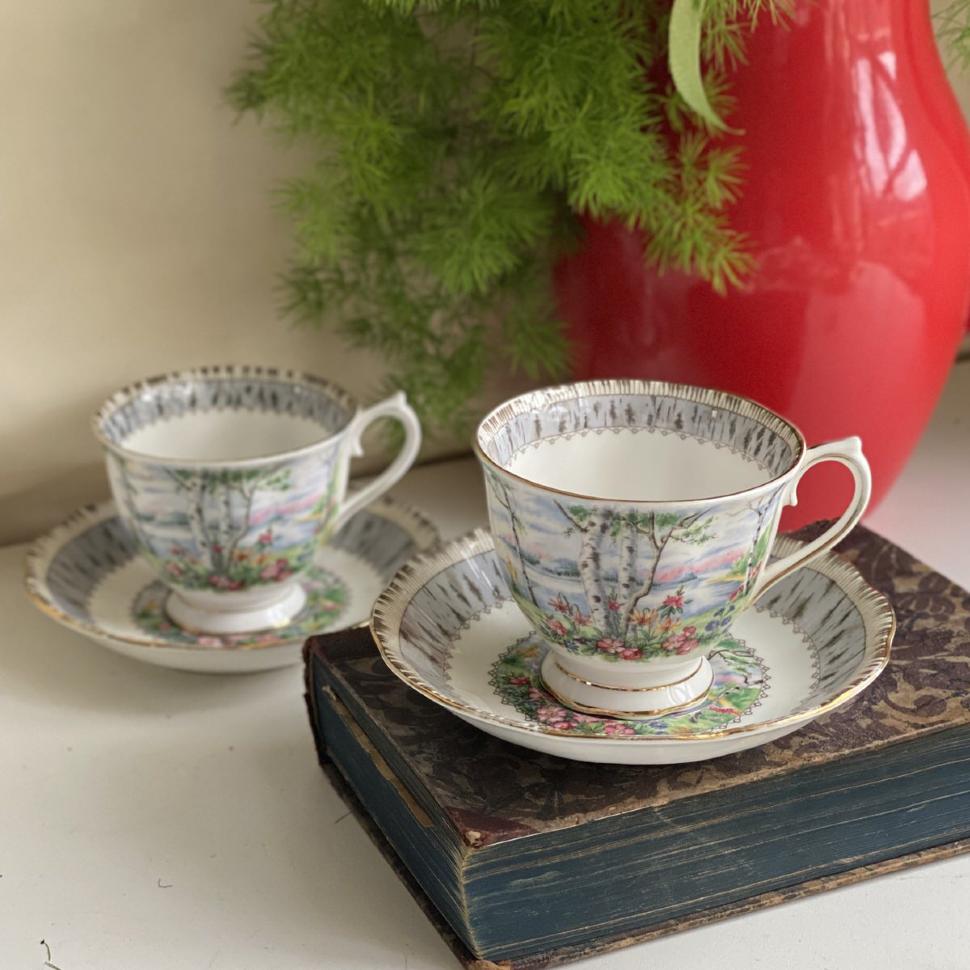 Чайная пара Royal Albert Silver Birch 200 мл Англия
