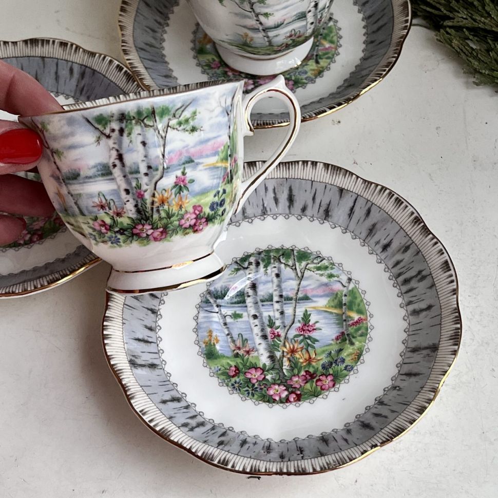 Чайная пара Royal Albert Silver Birch 200 мл Англия