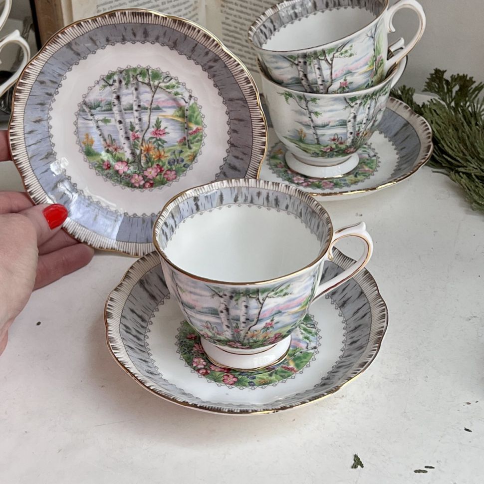 Чайная пара Royal Albert Silver Birch 200 мл Англия