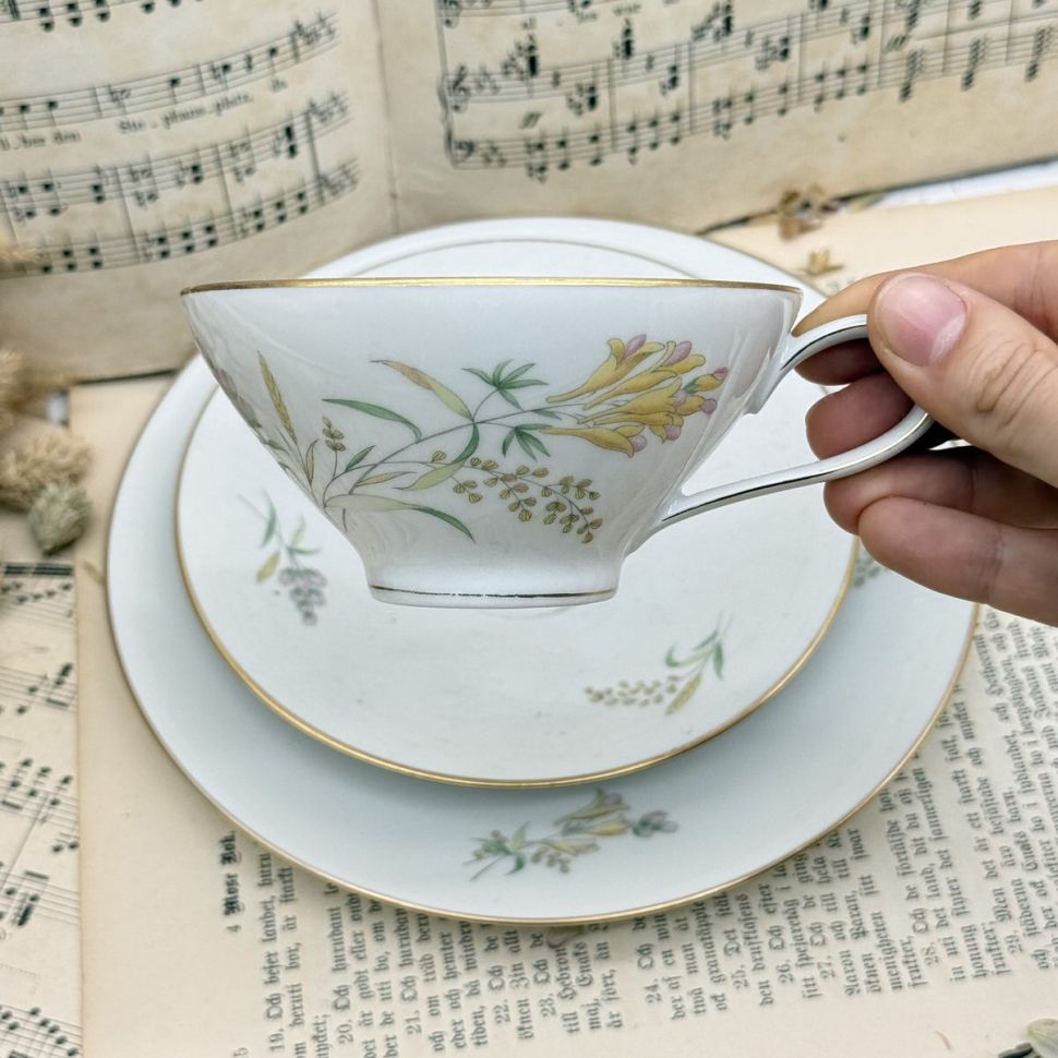 Чайное трио Rosenthal Bettina Sommerblüten 200 мл Германия