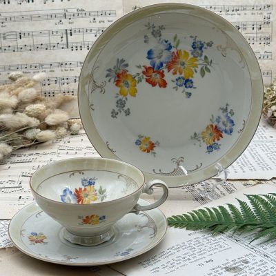 Чайное трио Schirnding Bavaria 200 мл Германия 100 лет