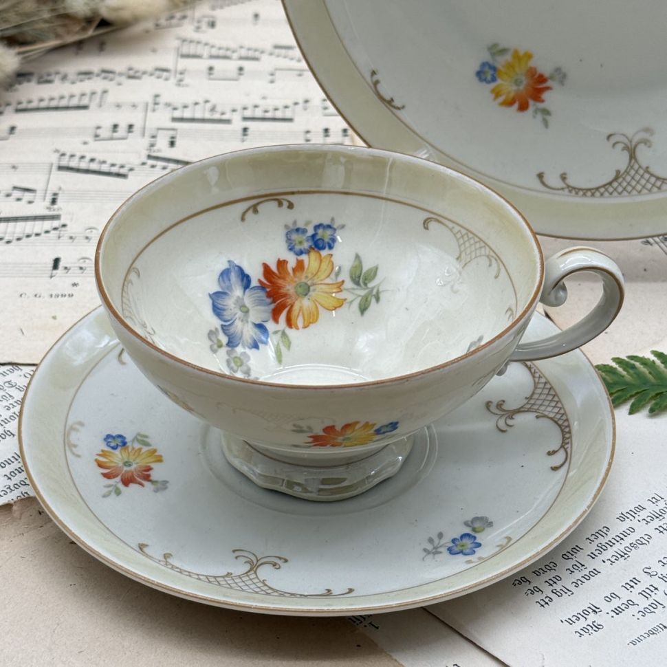 Чайное трио Schirnding Bavaria 200 мл Германия 100 лет