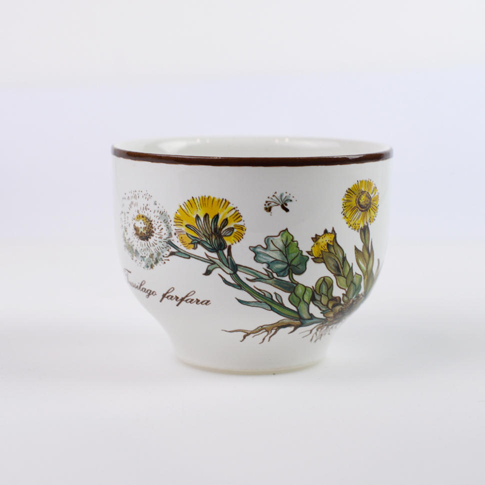 Чаша Botanica ВиллеройБох 250 мл