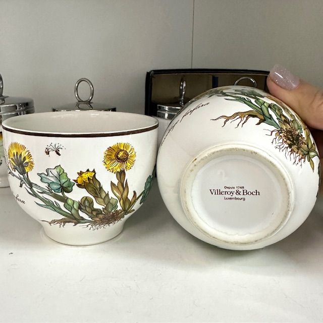 Чаша Botanica ВиллеройБох 250 мл