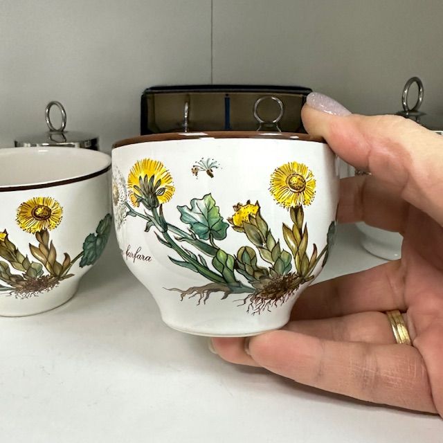 Чаша Botanica ВиллеройБох 250 мл