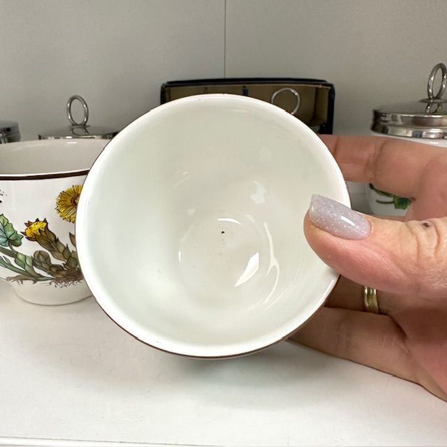 Чаша Botanica ВиллеройБох 250 мл