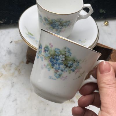 Чайная кофейная пара 200 мл Rorstrand незабудки