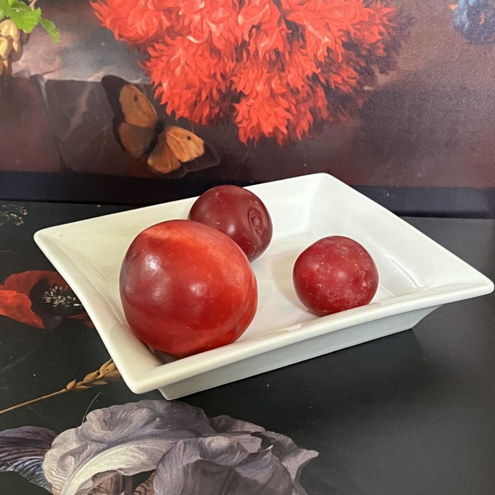 Блюдо прямоугольное 20 см Франция уценка